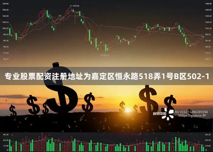 专业股票配资注册地址为嘉定区恒永路518弄1号B区502-1