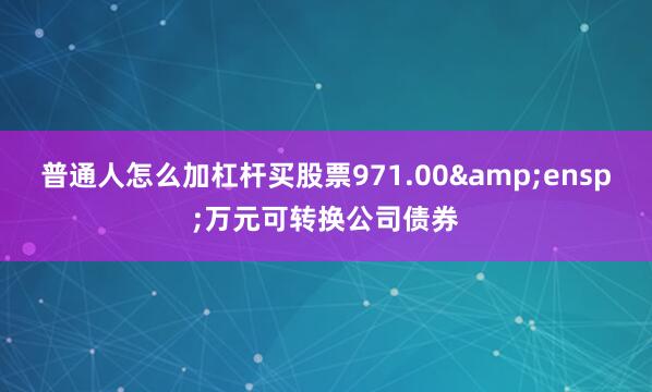 普通人怎么加杠杆买股票971.00&ensp;万元可转换公司债券
