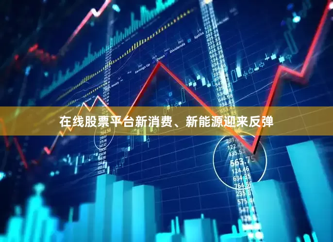 在线股票平台新消费、新能源迎来反弹