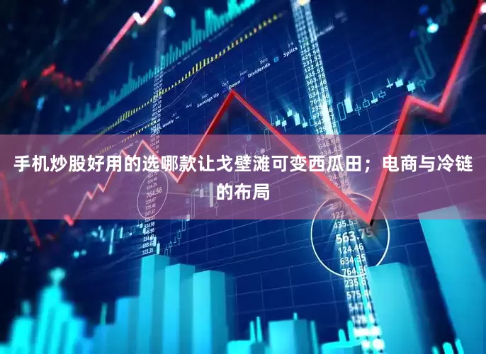 手机炒股好用的选哪款让戈壁滩可变西瓜田；电商与冷链的布局