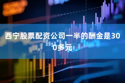 西宁股票配资公司一半的酬金是300多元